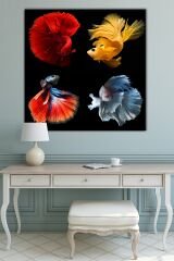 Renkli Balıklar Kanvas Tablo