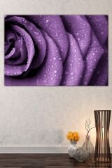 Kırmızı Gül Su Damlacığı Çiçek Dekoratif Kanvas Tablo