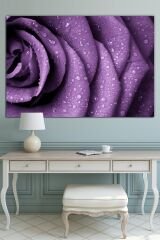 Kırmızı Gül Su Damlacığı Çiçek Dekoratif Kanvas Tablo