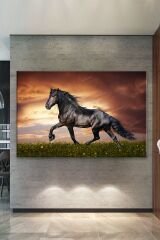 Asil Siyah Rahvan At Kanvas Tablo