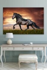 Asil Siyah Rahvan At Kanvas Tablo