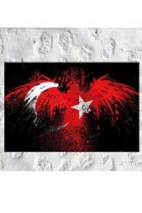 Ay Yıldız Kartal Türkiye Kanvas Tablo (8 Farklı Ölçü)