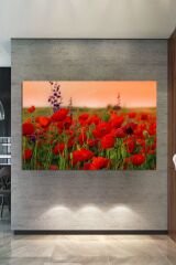 Gelincik Tarlası Dekoratif Kanvas Tablo