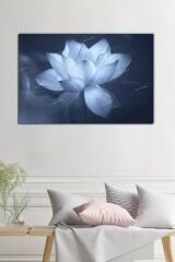 Lotus Çiçeği Yaşam Çiçeği Dekoratif Kanvas Tablo