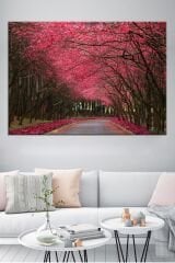 Kiraz Çiçekli Yol Manzara Doğa Tabiat Kanvas Tablo