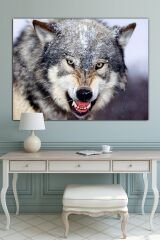 Kurt Hayvanlar Alemi Dekoratif Kanvas Tablo 100x70