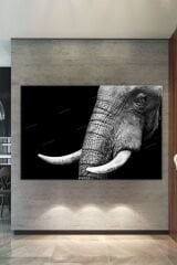 Fil Hayvanlar Alemi Dekoratif Kanvas Tablo