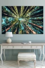 Ormanda Ağaçlar Altından Gökyüzüne Bakış Dekoratif Kanvas Tablo