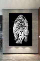 Kaplan Hayvanlar Alemi Kanvas Tablo