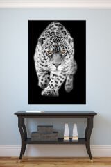 Kaplan Hayvanlar Alemi Kanvas Tablo (7 Farklı Ölçü)