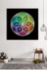 Yaşam Çiçeği Kutsal Geometri Sri Yantra Kanvas Tablo 8 Farklı Ölçü