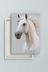 Beyaz Asil At Hayvan Sanatsal Dekoratif Kanvas Tablo (8 Farklı Ölçü)