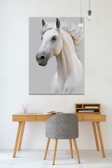 Beyaz Asil At Hayvan Sanatsal Dekoratif Kanvas Tablo (8 Farklı Ölçü)